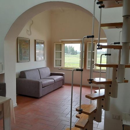 La Casa Di Fre Daire Pisa Dış mekan fotoğraf